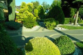 Ogród Ryszarda Nytry
