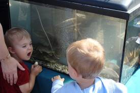 Wystawa ryb, cieszy szczególnie dzieci fot. Dorota Kochman