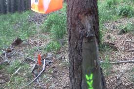 W miejscach kontroli, na drzewach umieszczono specjalne lampiony. 