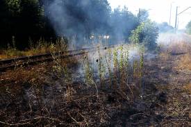 Kilka dni temu strażacy z JRG Skoczów gasili palącą się trawę w Strumieniu na torowisku.fot. M. Fielek
