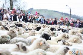 Ludzie i owce-to warunek obrzędu, fot. NG/ox.pl