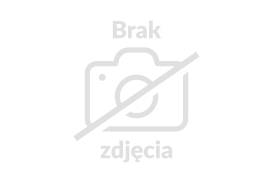 Uroczyste obchody Święta Krajowej Administracji Skarbowej w Cieszynie