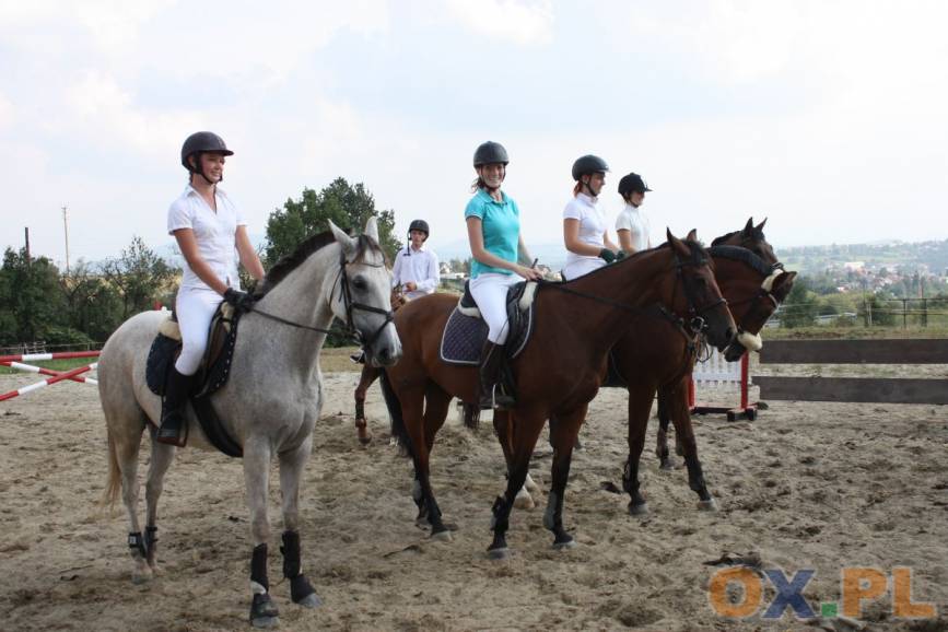 Cieszyn: 11. zawody jeździeckie CKH na Pastwiskach
